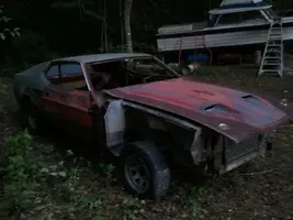 mustang 003.webp