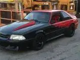 mustang.webp