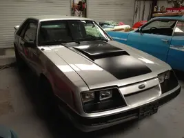 stang1.webp