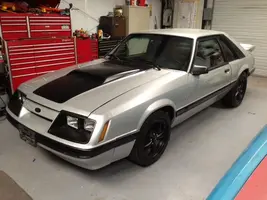 stang2.webp
