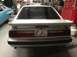 stang3.webp