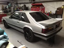 stang4.webp
