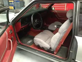 stang5.webp