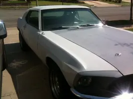 mustang1.webp