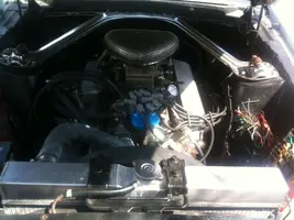 mustang2.webp