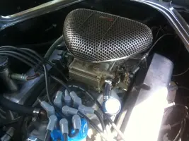mustang3.webp