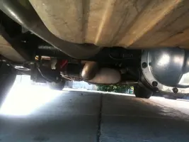 mustang4.webp