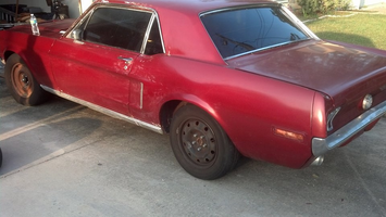 Mustang.webp