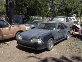 CAM00045.webp