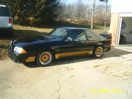 Mustangs 003.webp