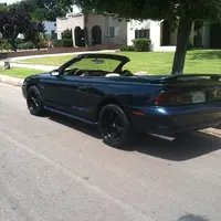 stang.webp