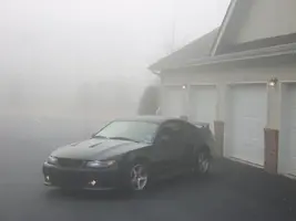 fogseriescallie04up5.webp