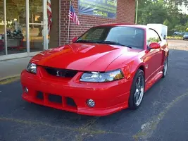 cindydn4.webp