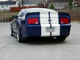 mustanglowes11web-1.webp