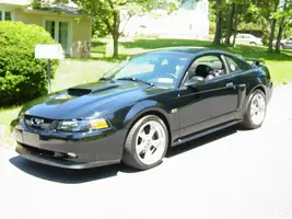 mustangpictures002.webp