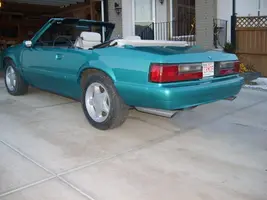 picture270yp9.webp