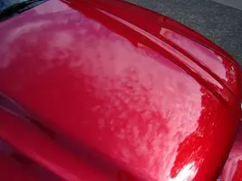 waxed3.webp