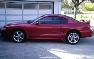 ipicture100xf2.webp