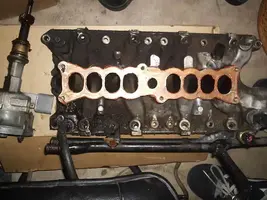 P4040258.webp