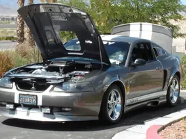 shelbytribute.webp