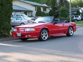 100_2342.webp