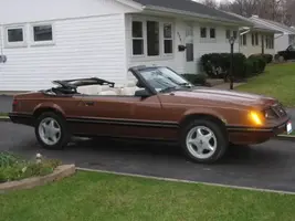 1983mustangpicturesbeforewinters-11.webp