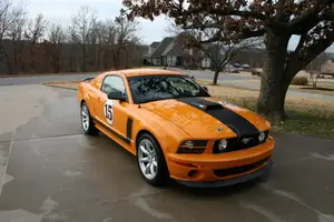 saleen001.webp