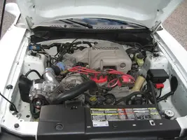 IMG_0648.webp