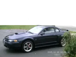 thelovestang.webp