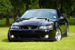 03cobra.webp