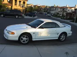 mustangsalepictures002.webp