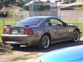 mustangswap081.webp