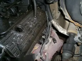 100_0344.webp