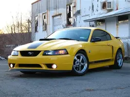 img0211medium5vi.webp