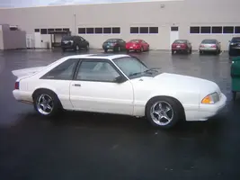 stang1106003.webp