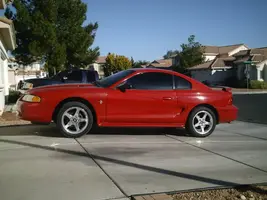 mustang002.webp