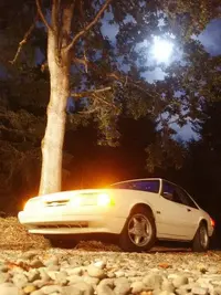 nightshot.webp