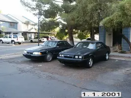 newmustang006.webp