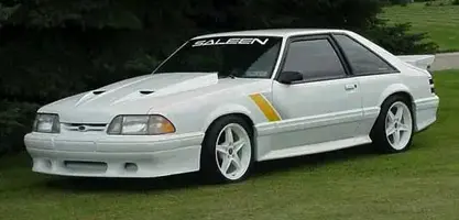 whiteyellowsaleen.webp