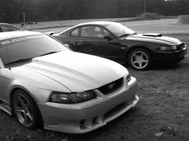 newcar011.webp