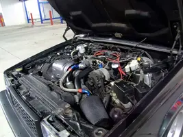 DSCF0216V6.webp