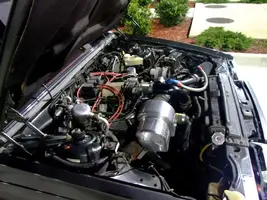 DSCF0221V6.webp