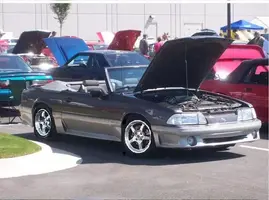 stanglowered1wsnypers.webp