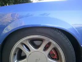 WP_000248.webp