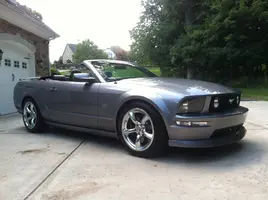 mustang2.webp