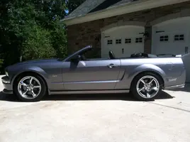 mustang3.webp