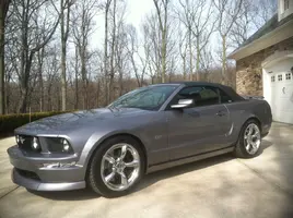 mustang4.webp