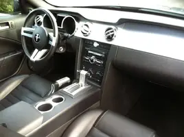 mustang5.webp