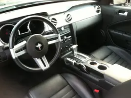 mustang7.webp