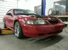 cobra1.webp